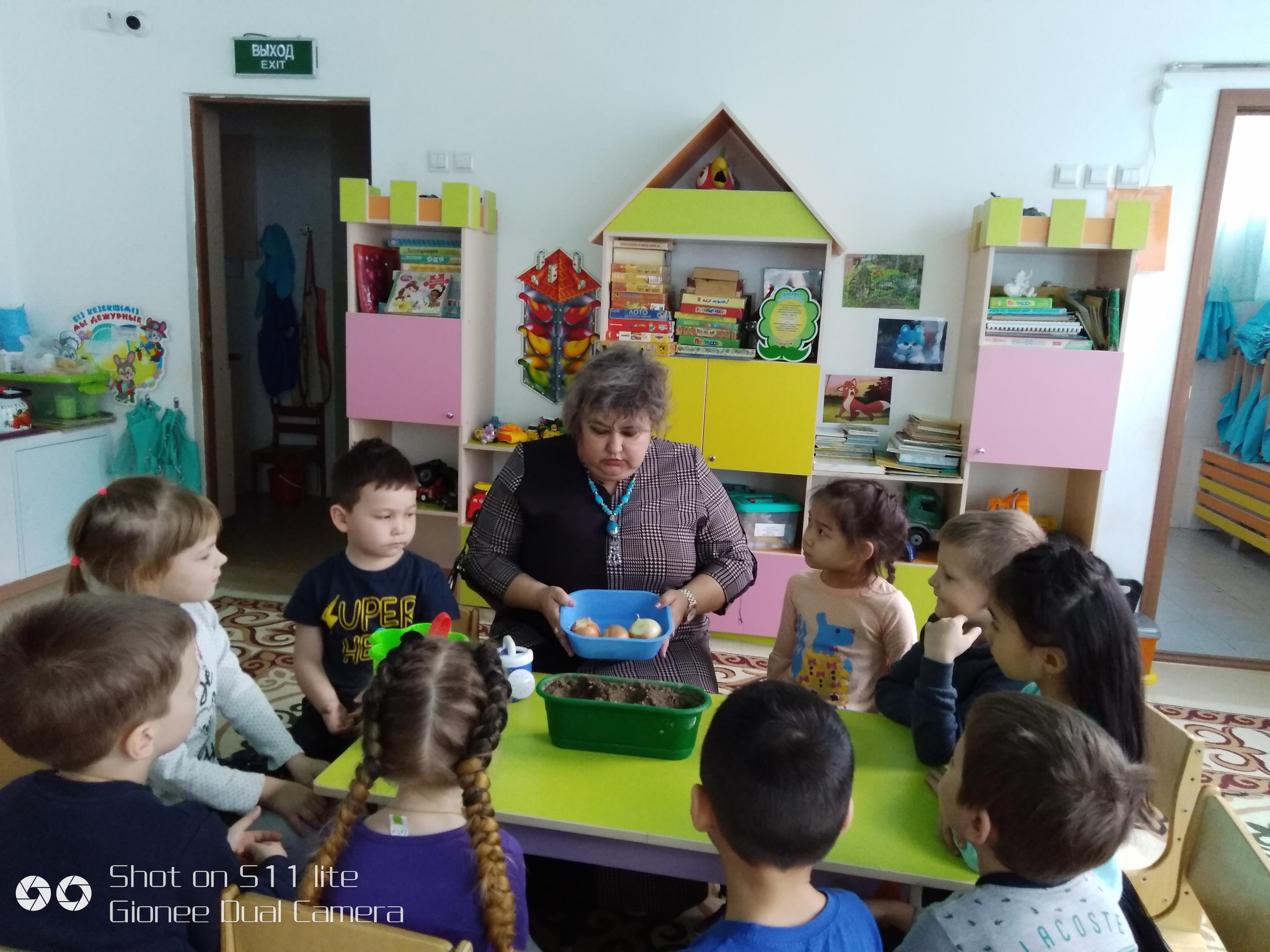 "Полянка". Сажаем огород на подоконнике. Прививаем любовь  детей к труду .